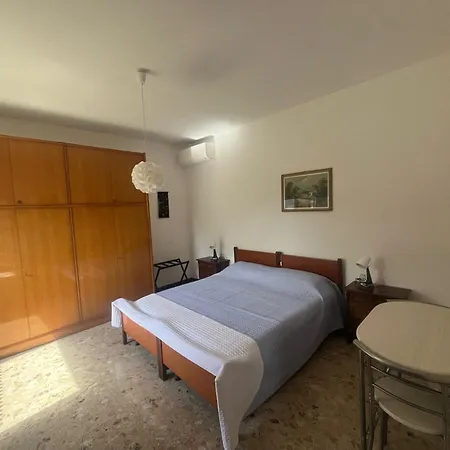 Pina - 1 Montemarciano